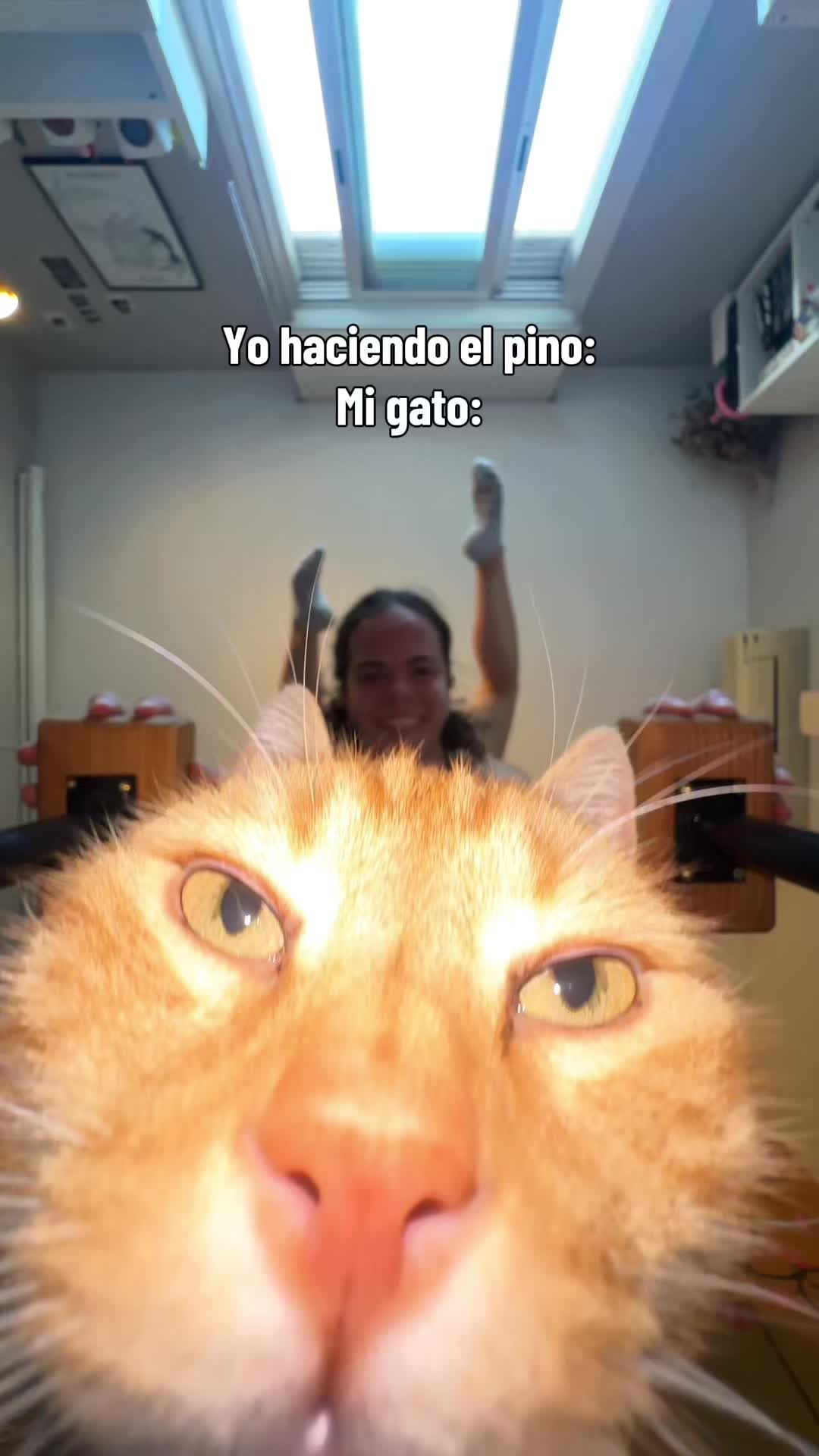 @Luc&iacute;a Oltra 💜