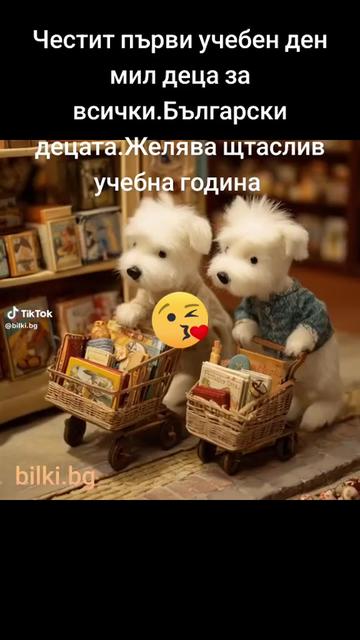 @@Vili.stankova1