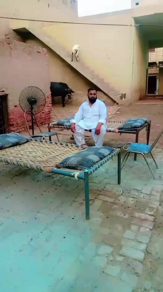 @amanat Kasai