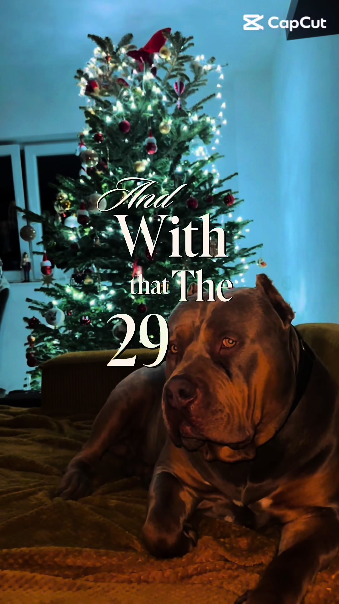 @TopQualityBullyKennel