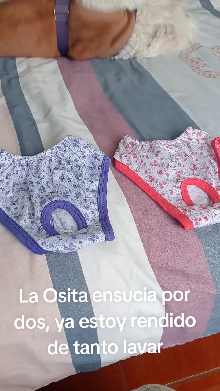 @Sky e Igor 01