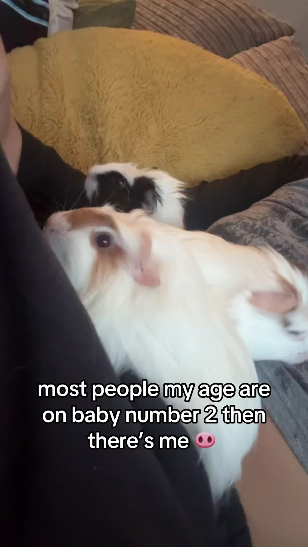 @𝓡𝓲♡︎