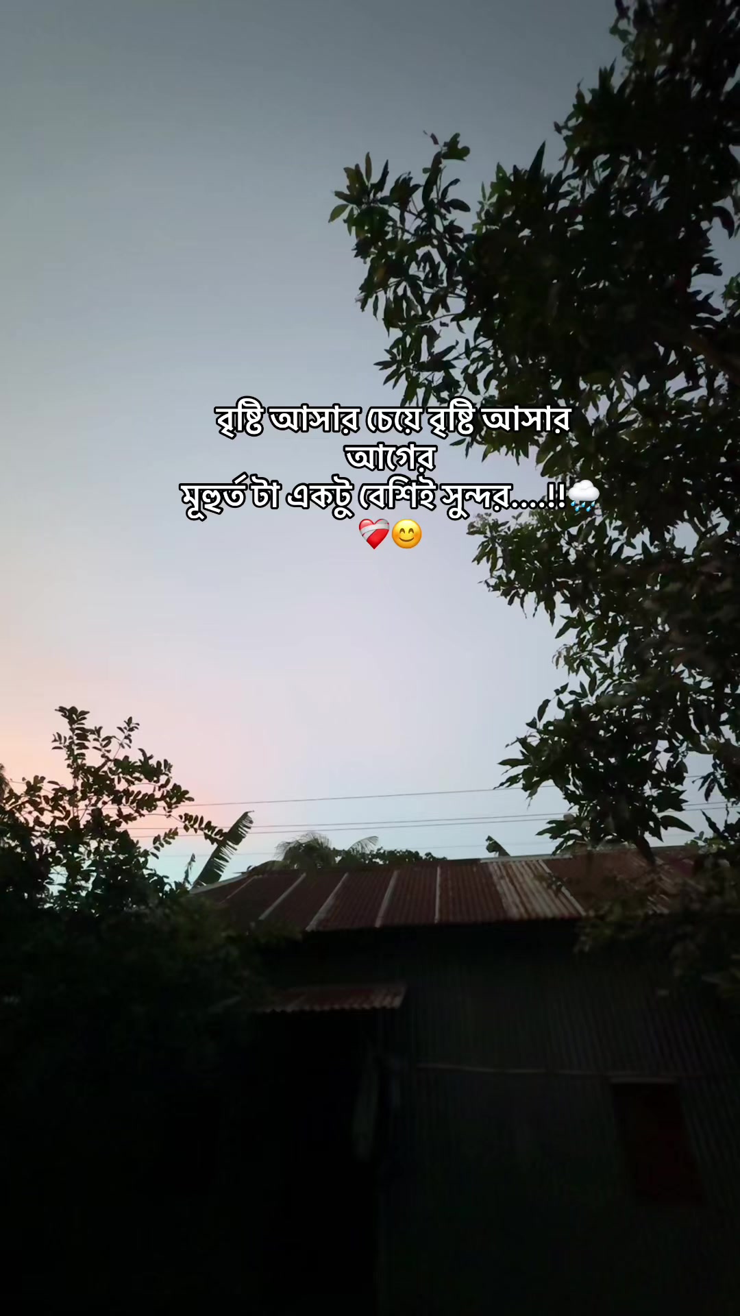 @تومي شودو امر