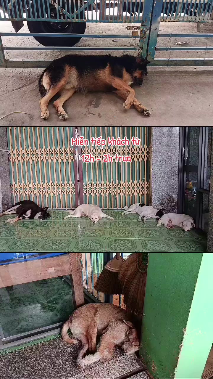 @Nh&agrave; Xe Tấn T&agrave;i An Giang