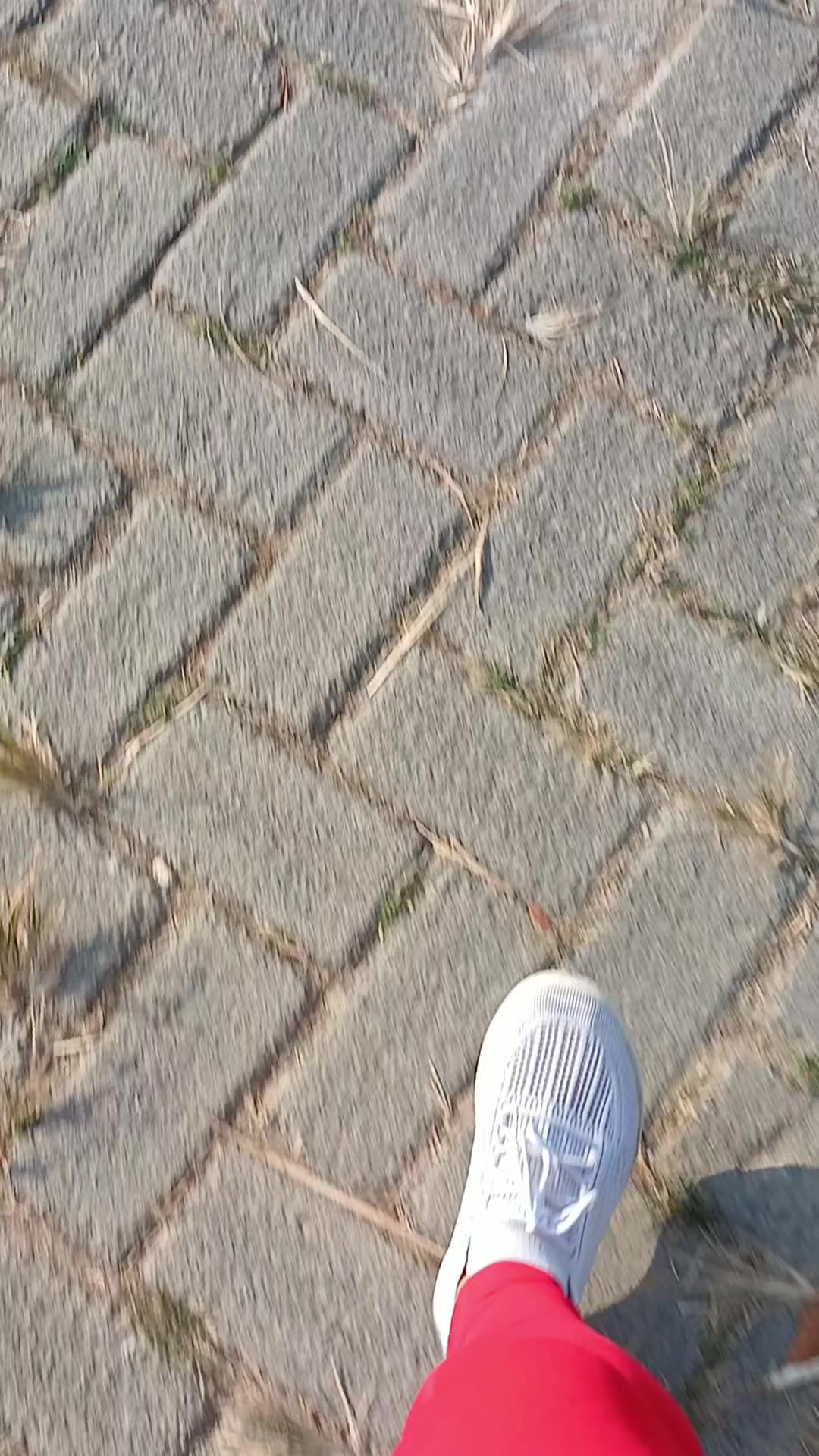 @enik sidaryati