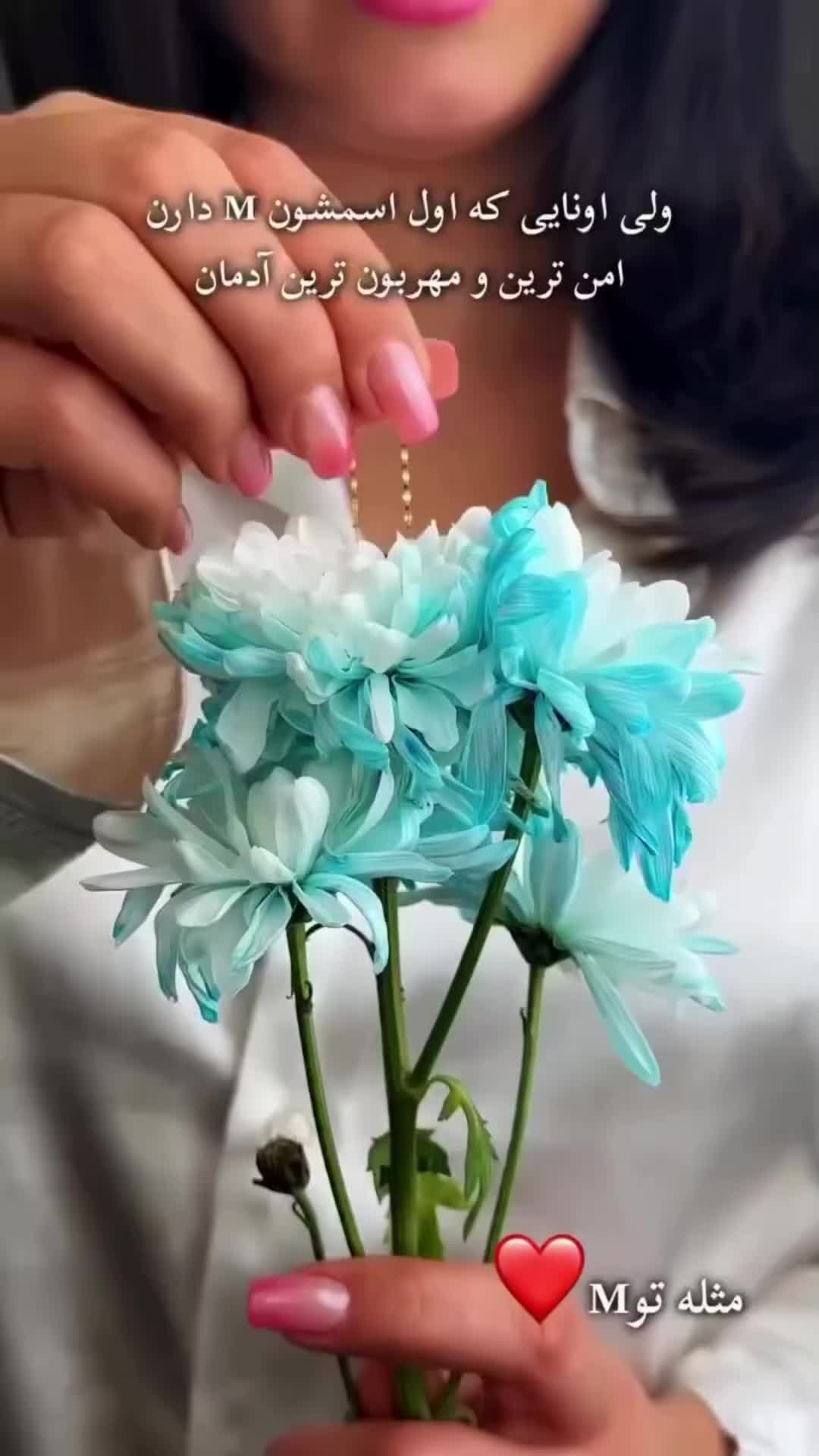 @Muhammad majidi