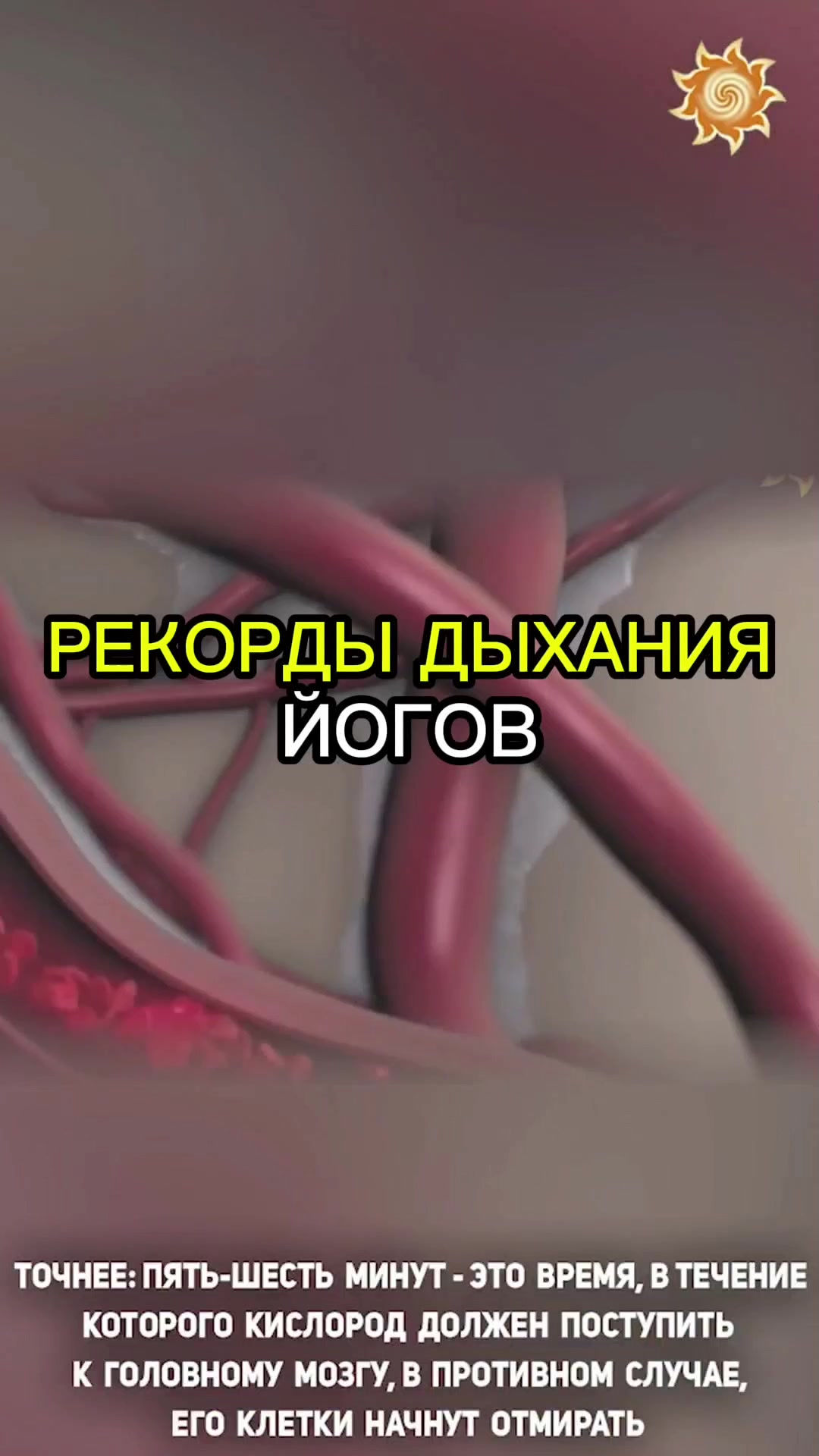 @Славмир