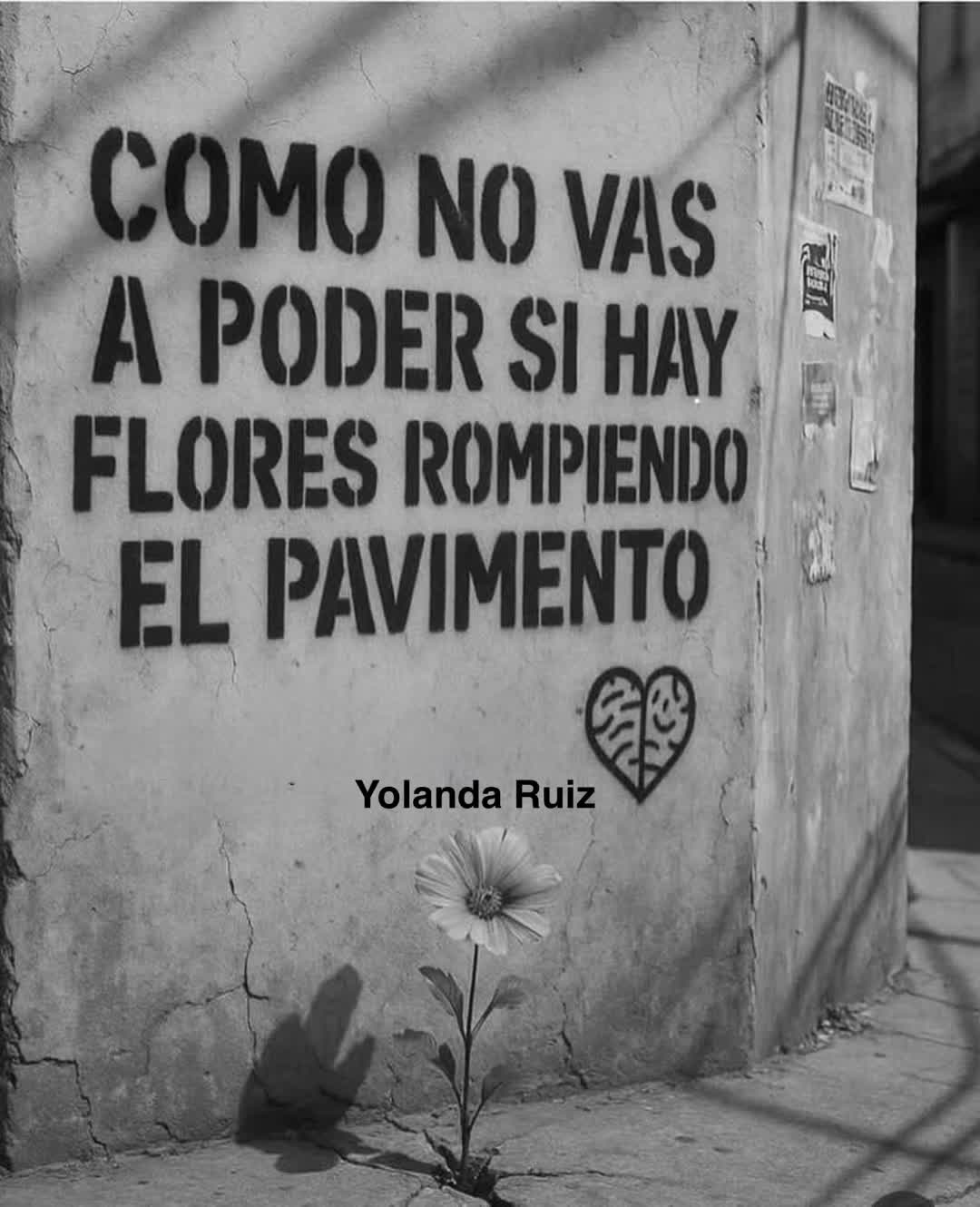 @Yolanda Ruiz