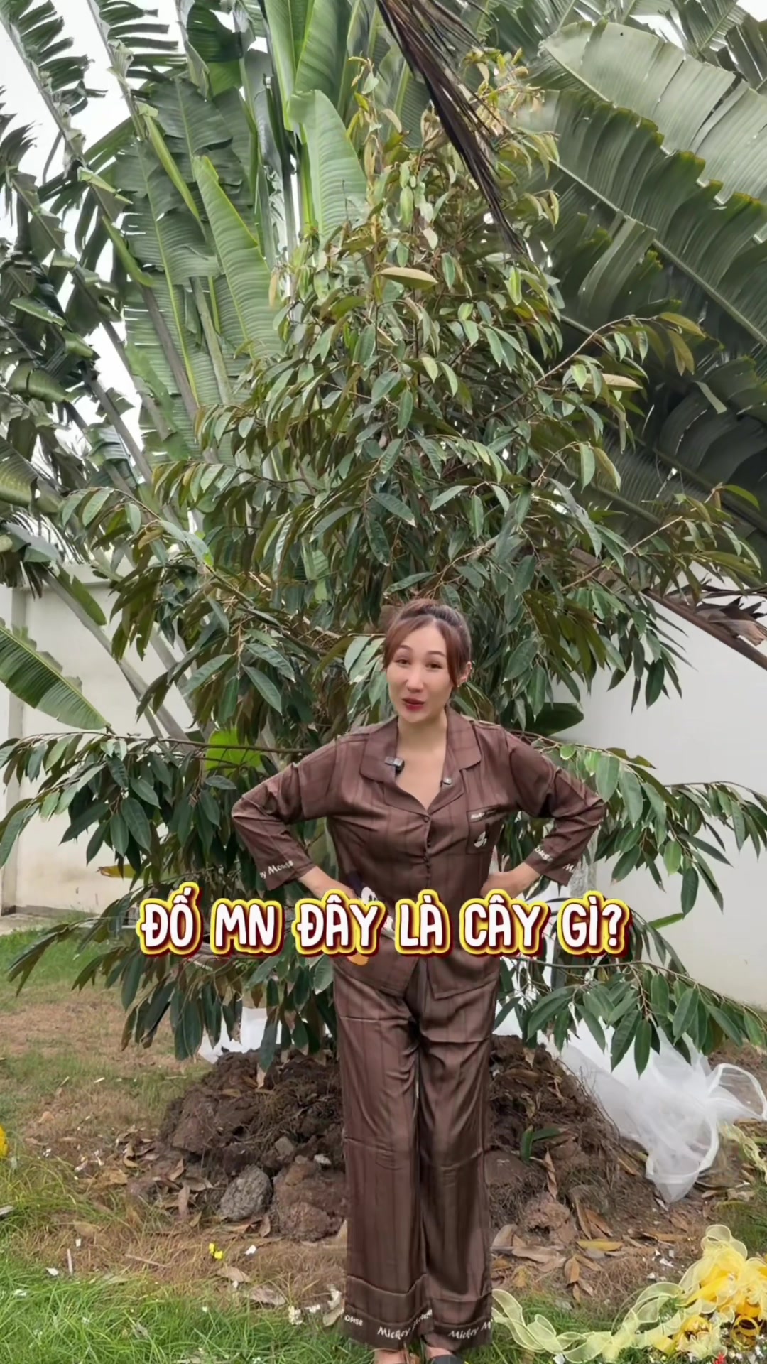 @Nguyễn Huỳnh Như
