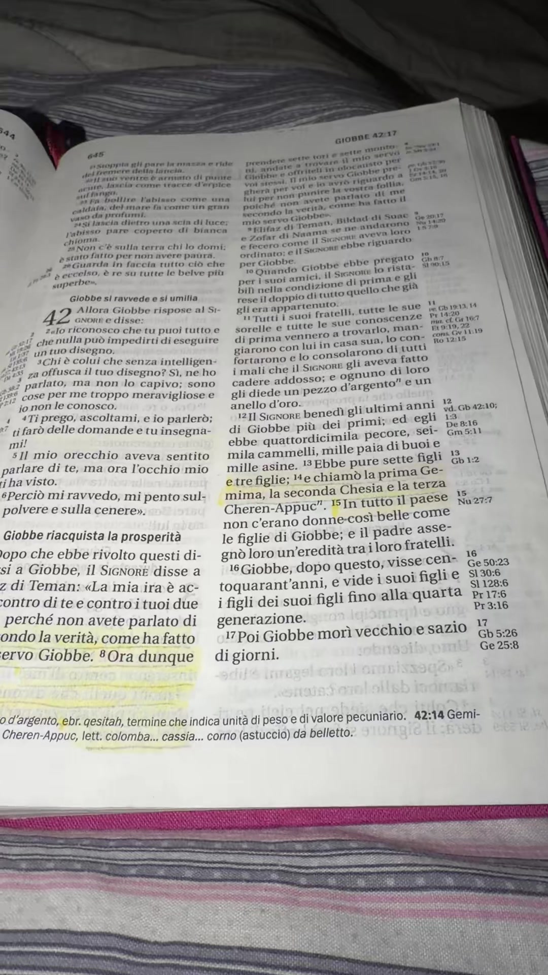 @🌸helena.hcb.xo🌸i❤︎jesus