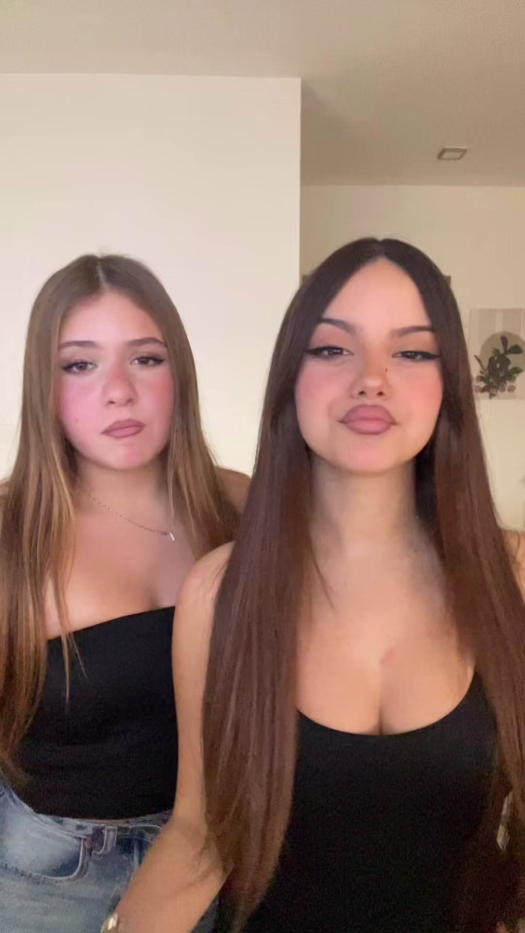 @16.6_spamm_