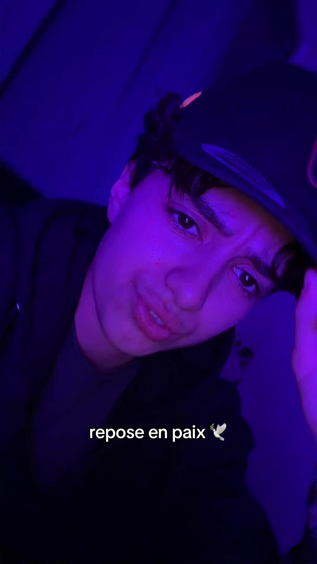 @KNZ🧬