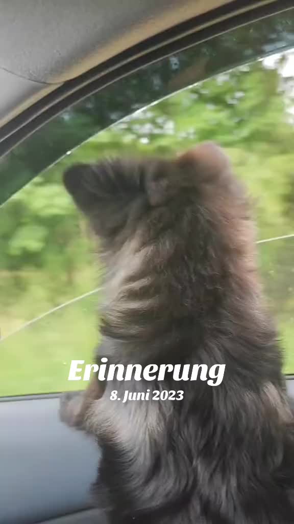 @Emmi