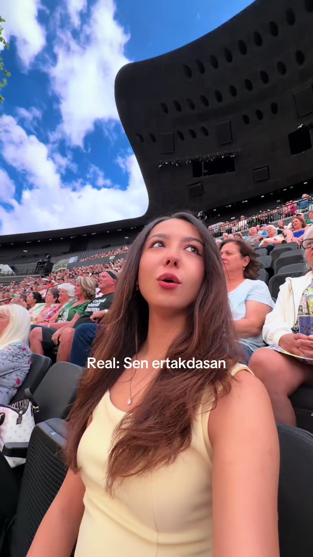 @safinspage
