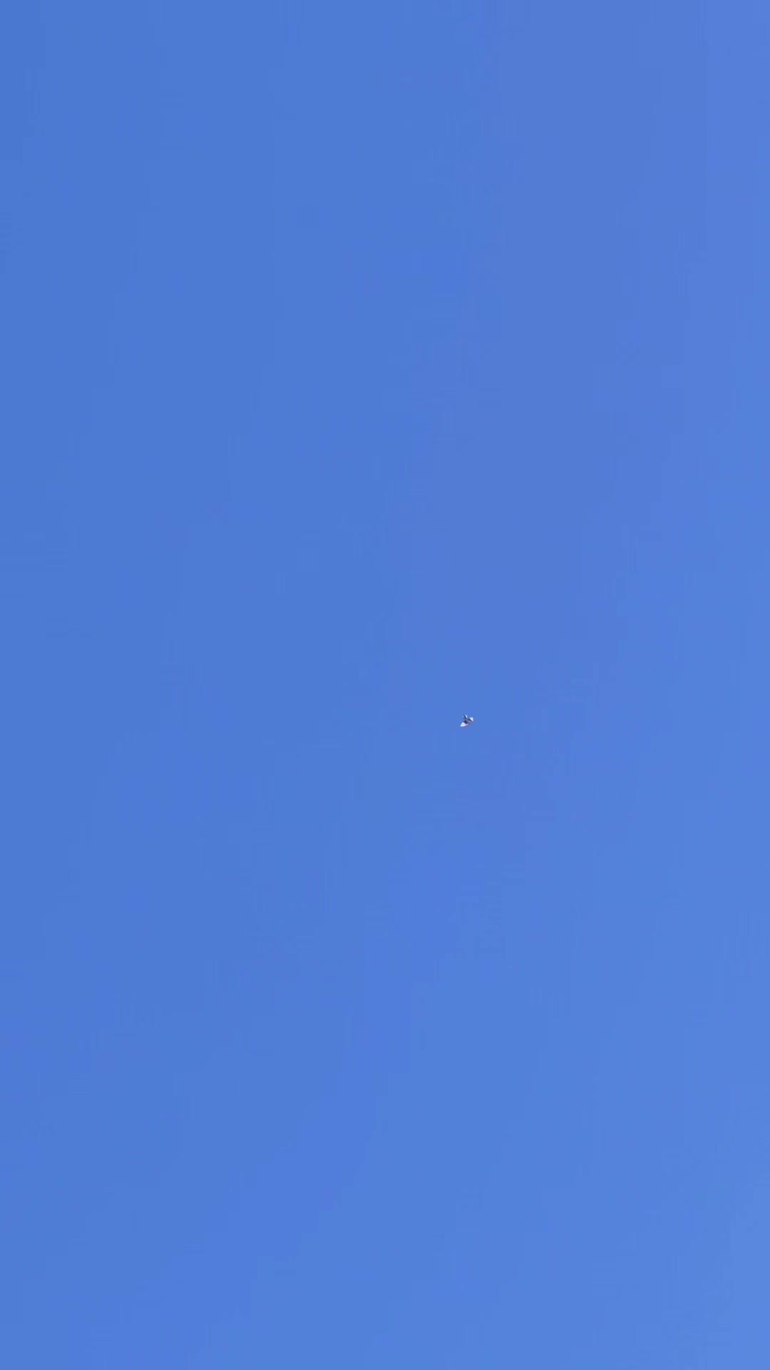 @DKB🇵🇰ĦighFlyerPigeonClub 🕊️