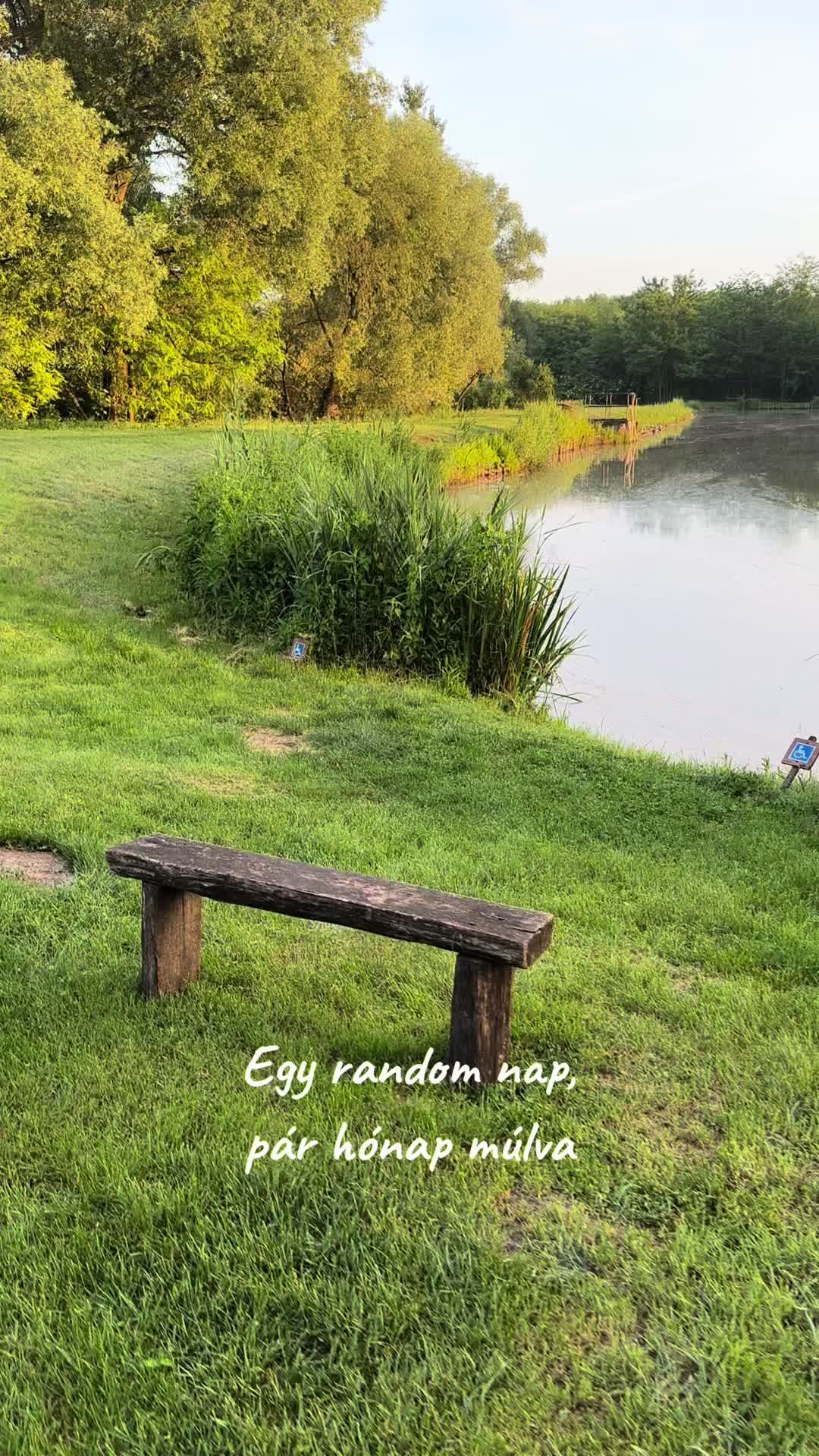 @🇭🇺CarpHunter🎣Dénes🇭🇺