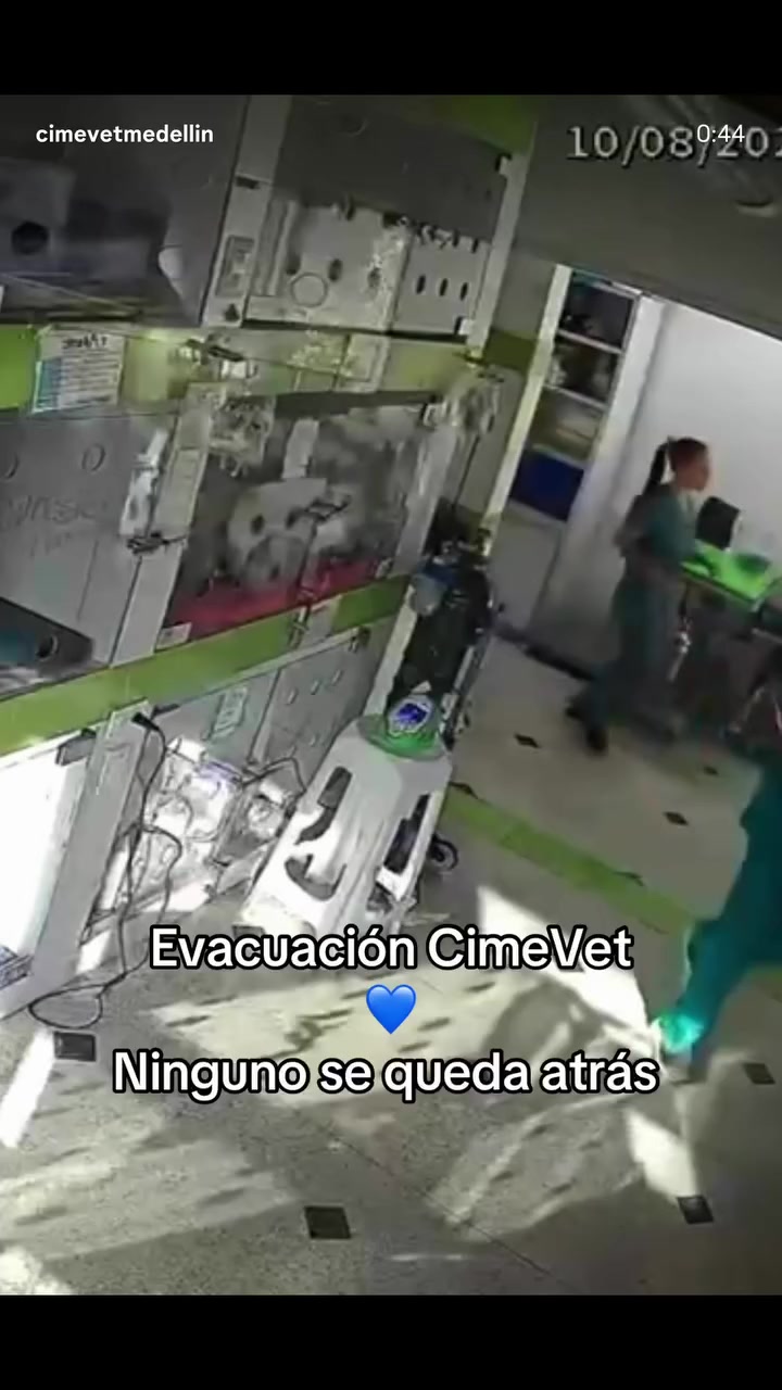 @Vero Orzábal