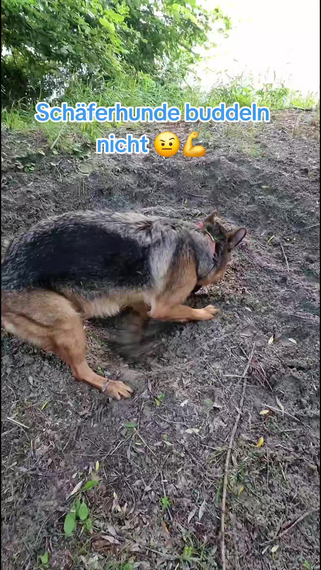 @Nala