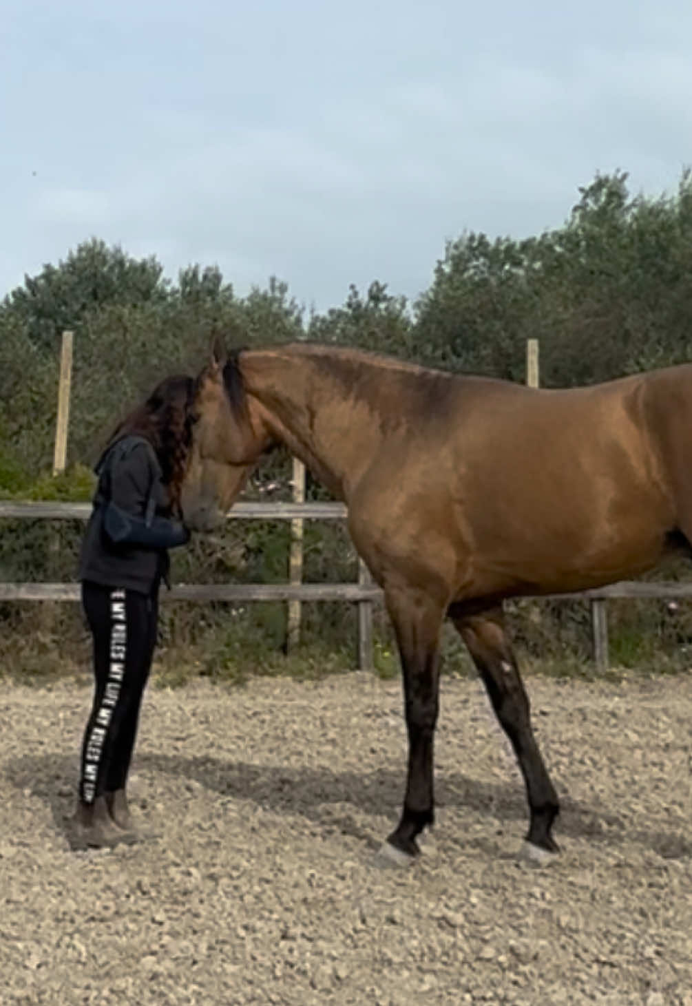 @Chiara Vitali 🐴
