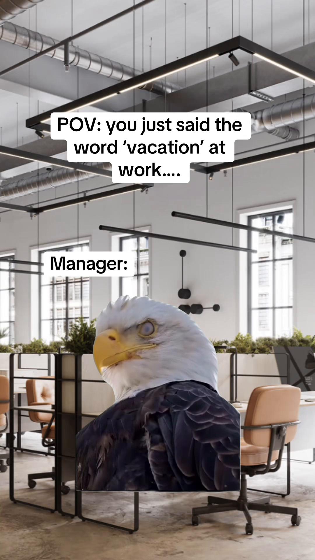 @theworkmemehub