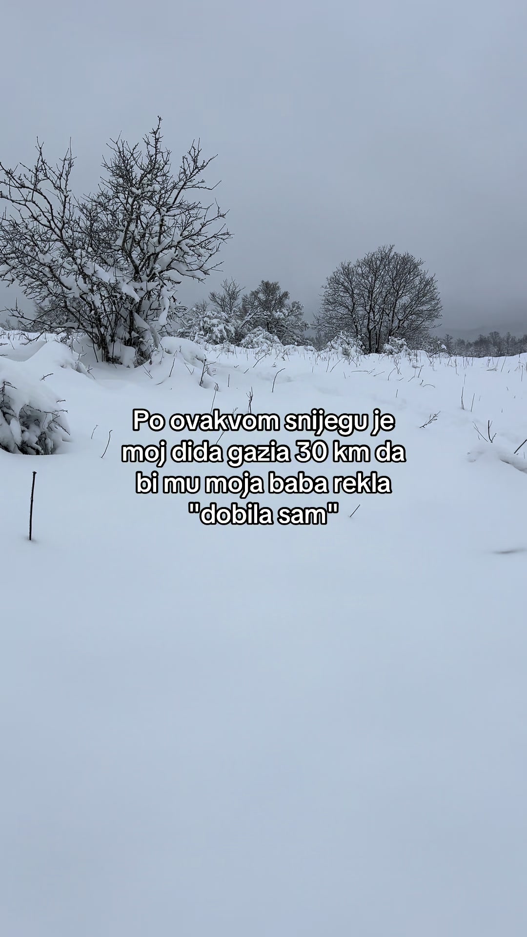 @zare1777