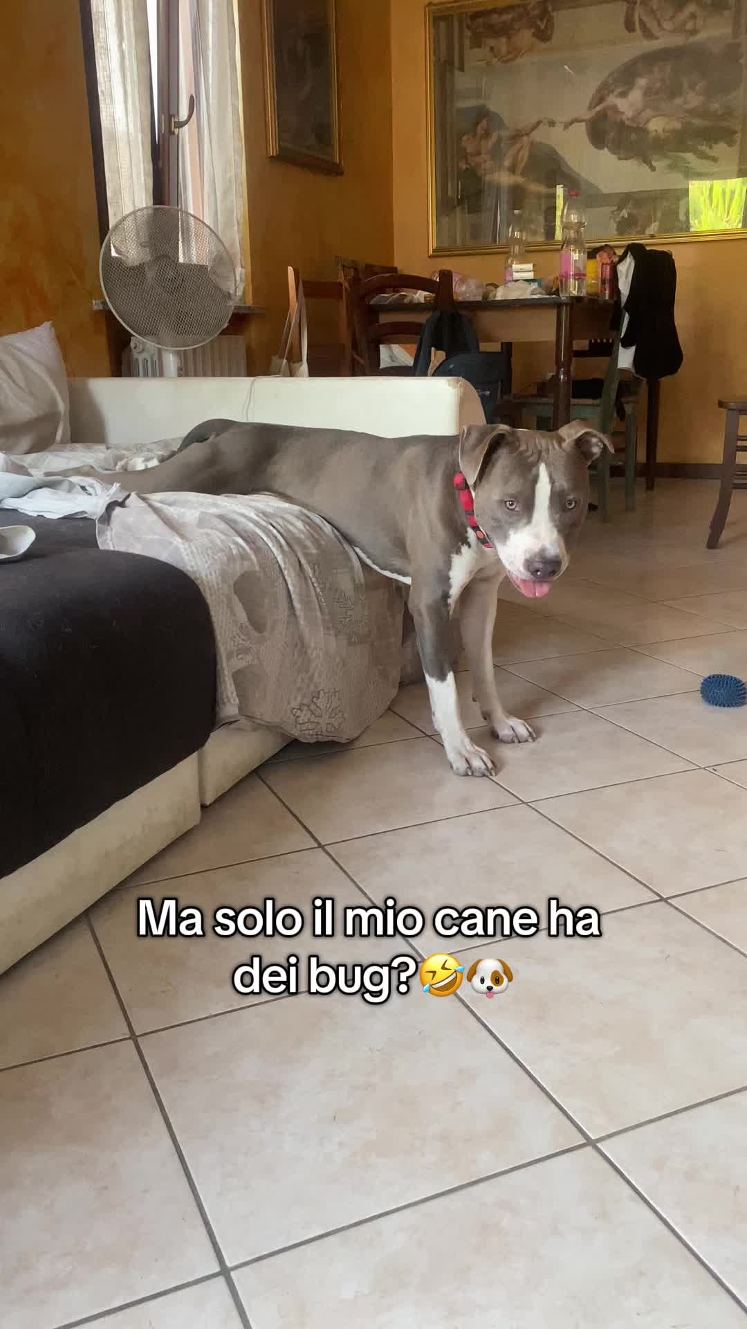 @sabryecasper