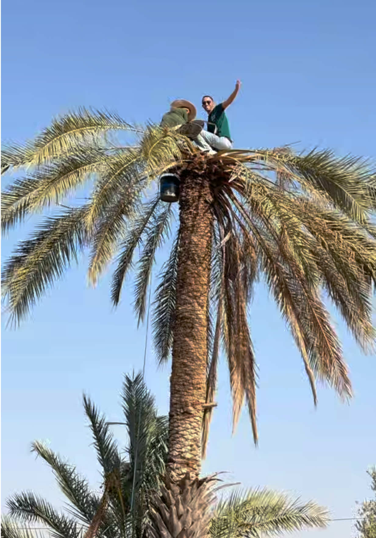 @Ahmed HAJJI 🌍 رحالة