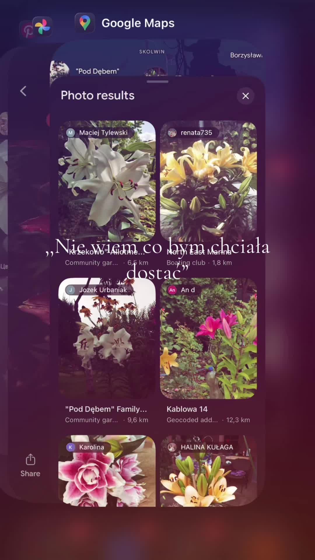 @{Ig.amelcia.___}