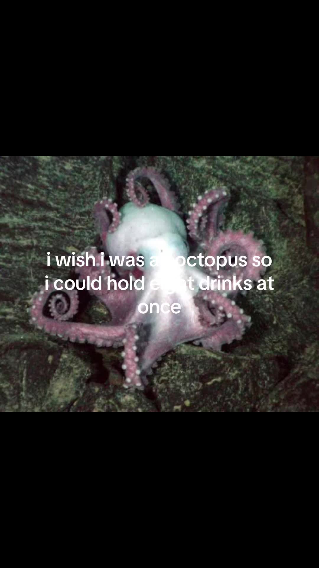 @teal