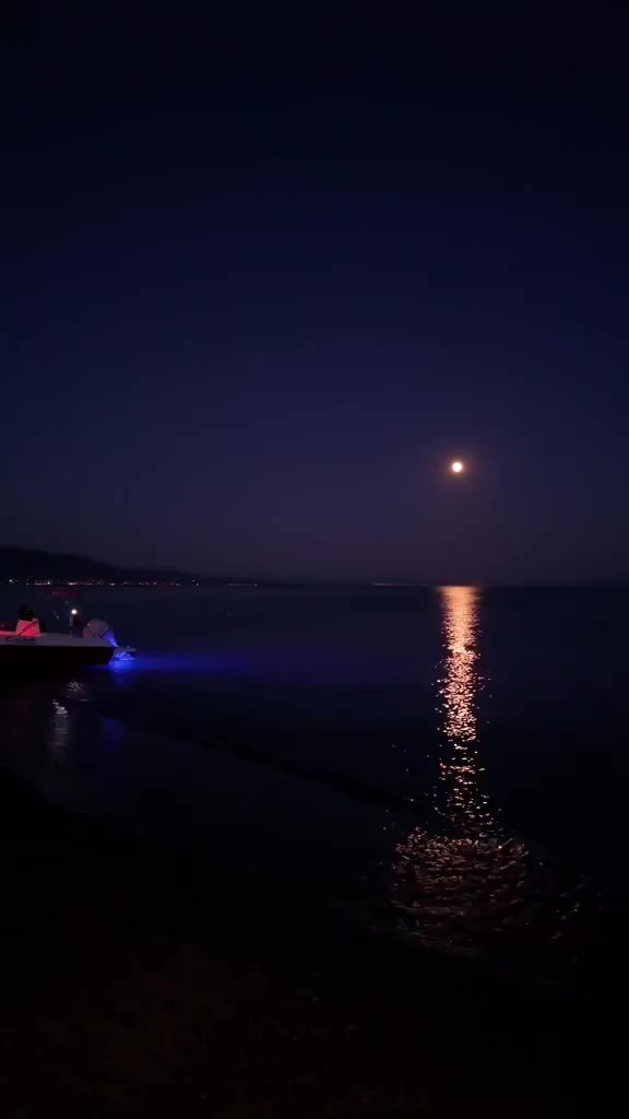 @Yalçın Kaya