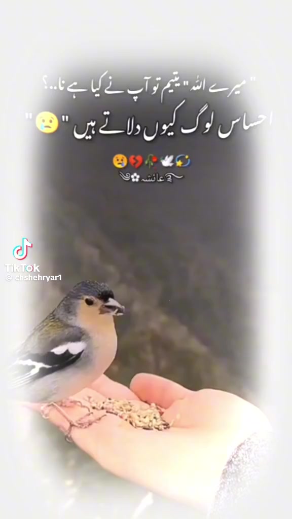 @Zahid Jutt