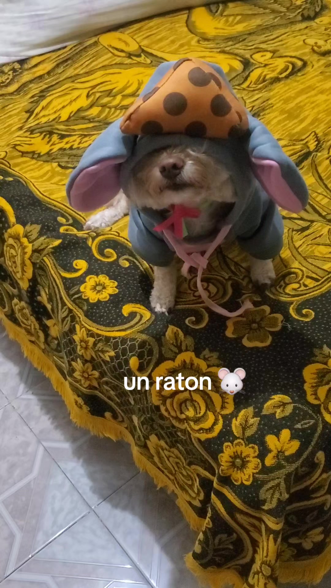 @varcan❤️