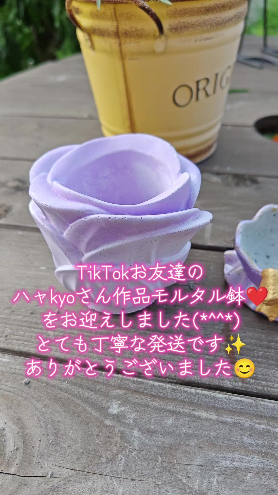 @ANIMAL♡M