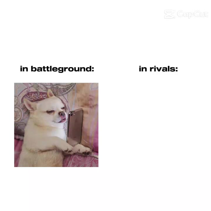@T_T