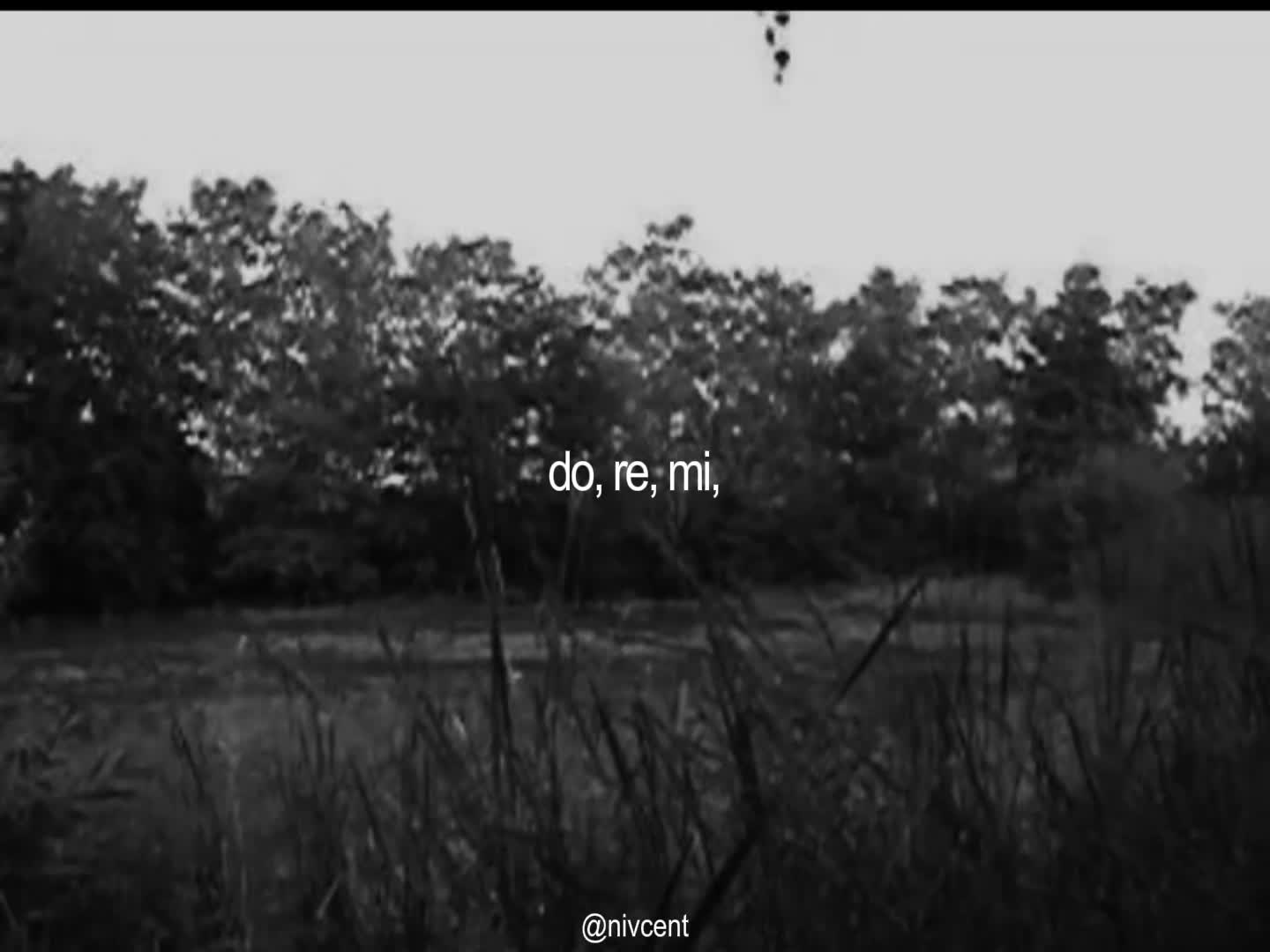 @𝗡𝗶𝘃𝗰𝗲𝗻𝘁