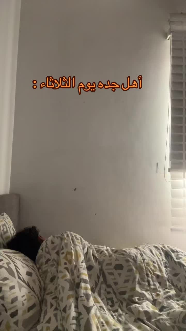 @Magbool alghamdi🫡