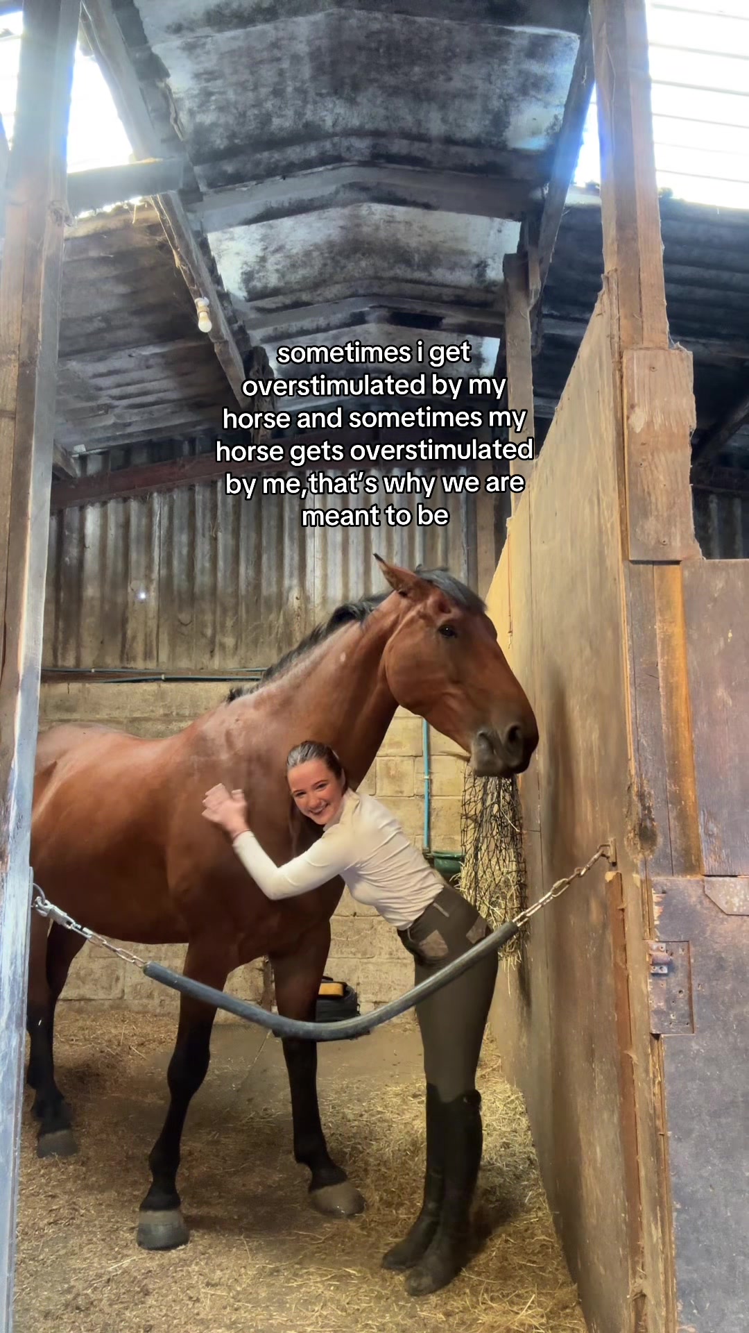 @BlackHeartEquestrian