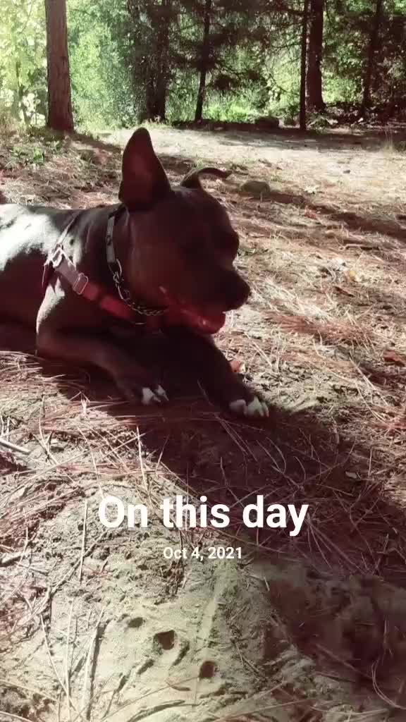 @At0m