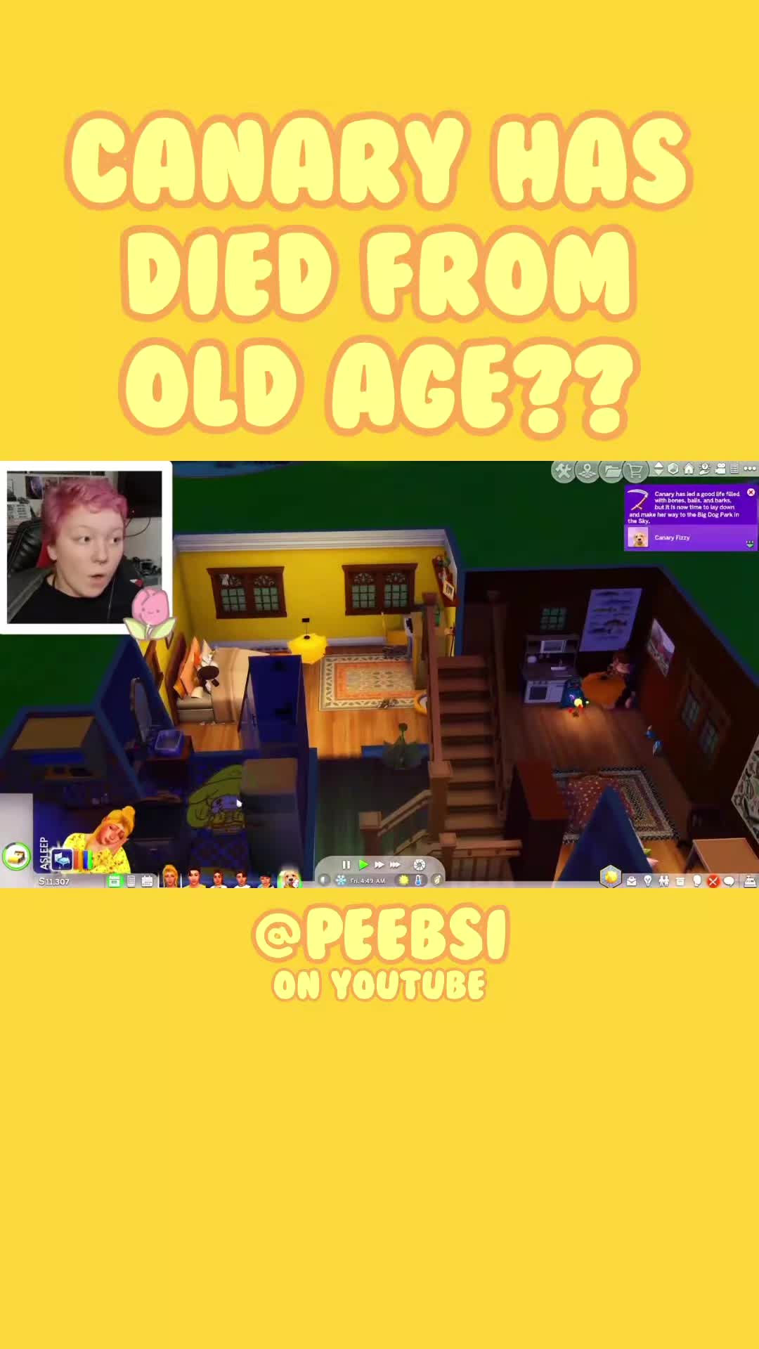 @peebsi || youtube