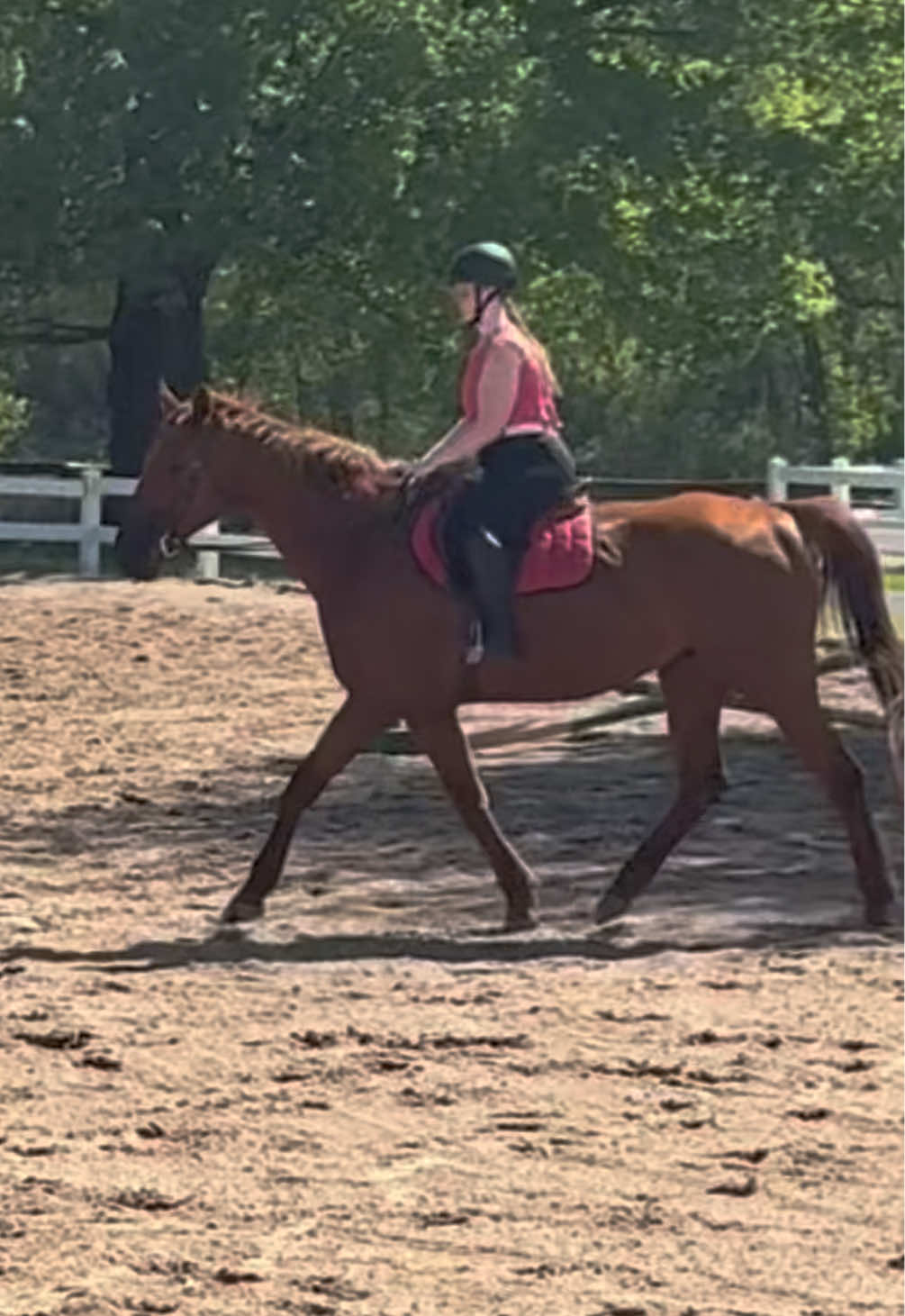 @ella_eqacc