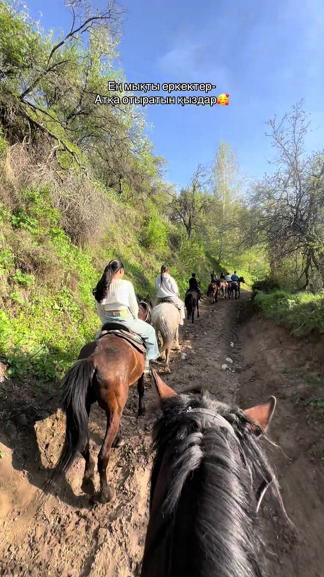 @akshatau_horses