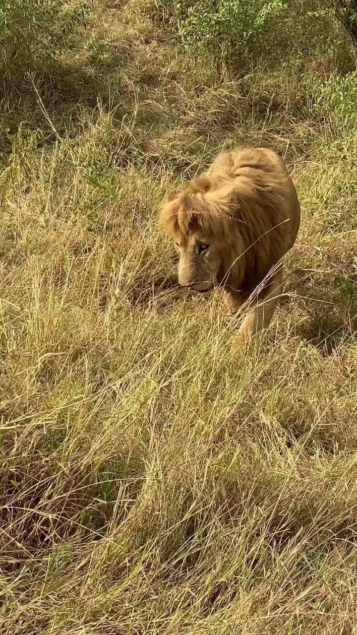 @Албена Граминова
