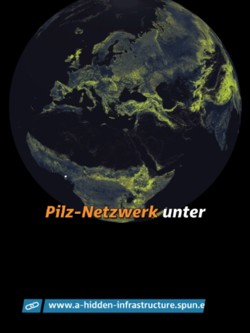 @Niklas Kolorz