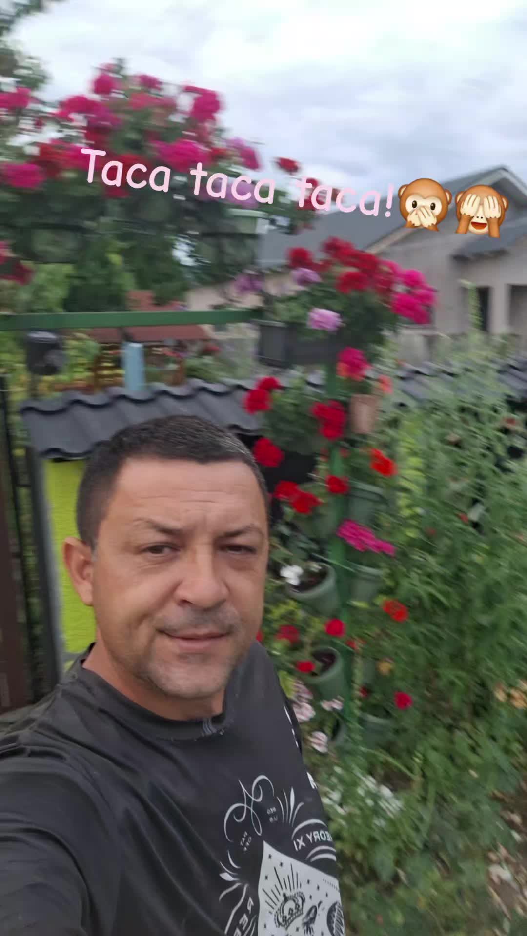 @cosmin