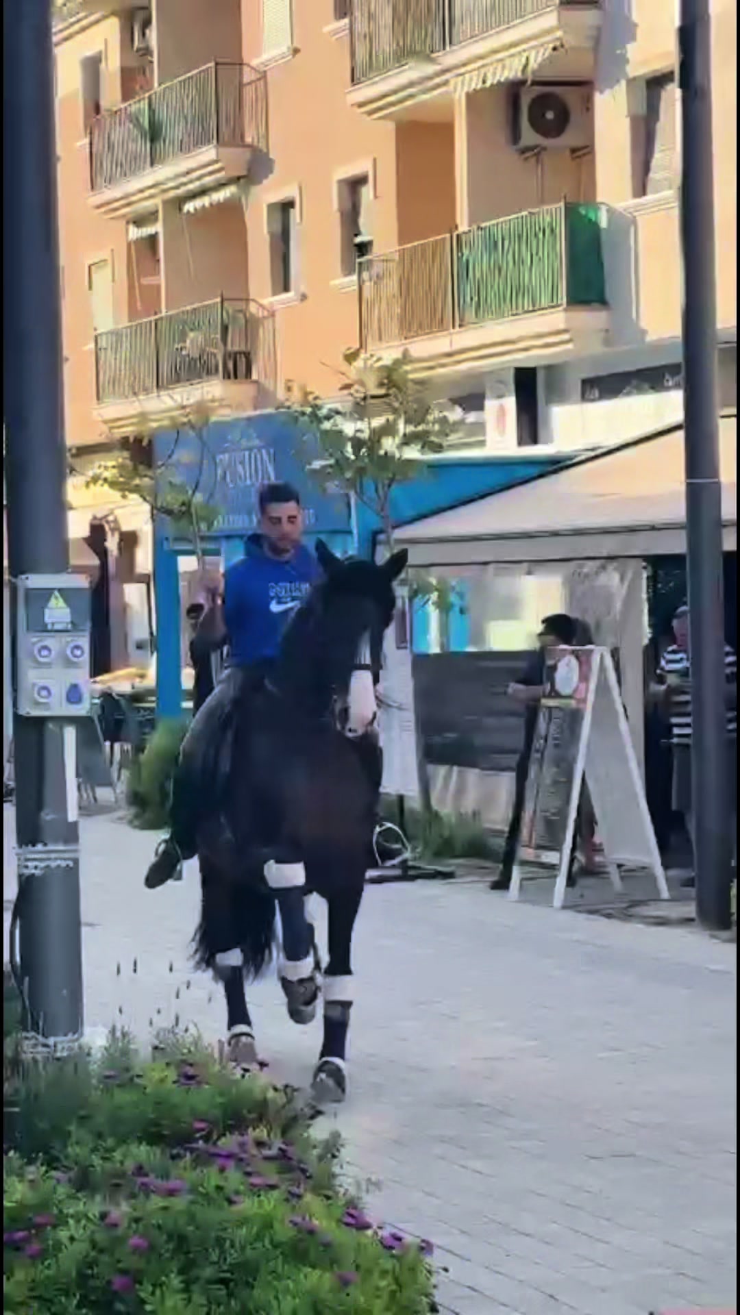 @heredia91caballos