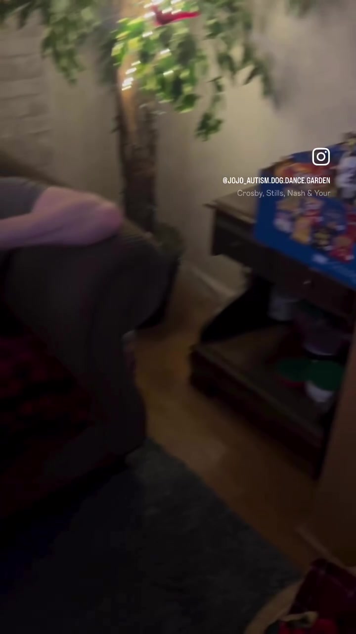 @jojo&hearts;️autism💚garden💙dogmom