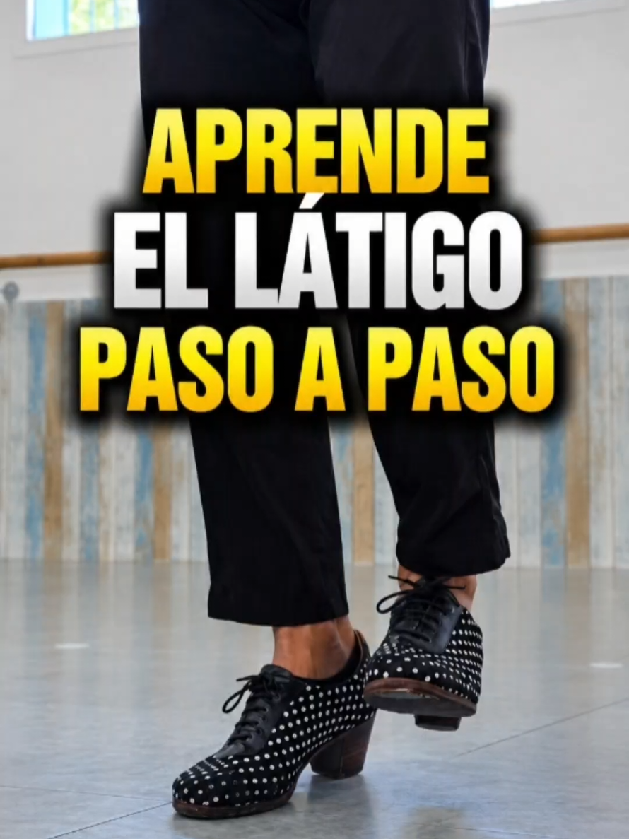 @Mario de los Santos Flamenco