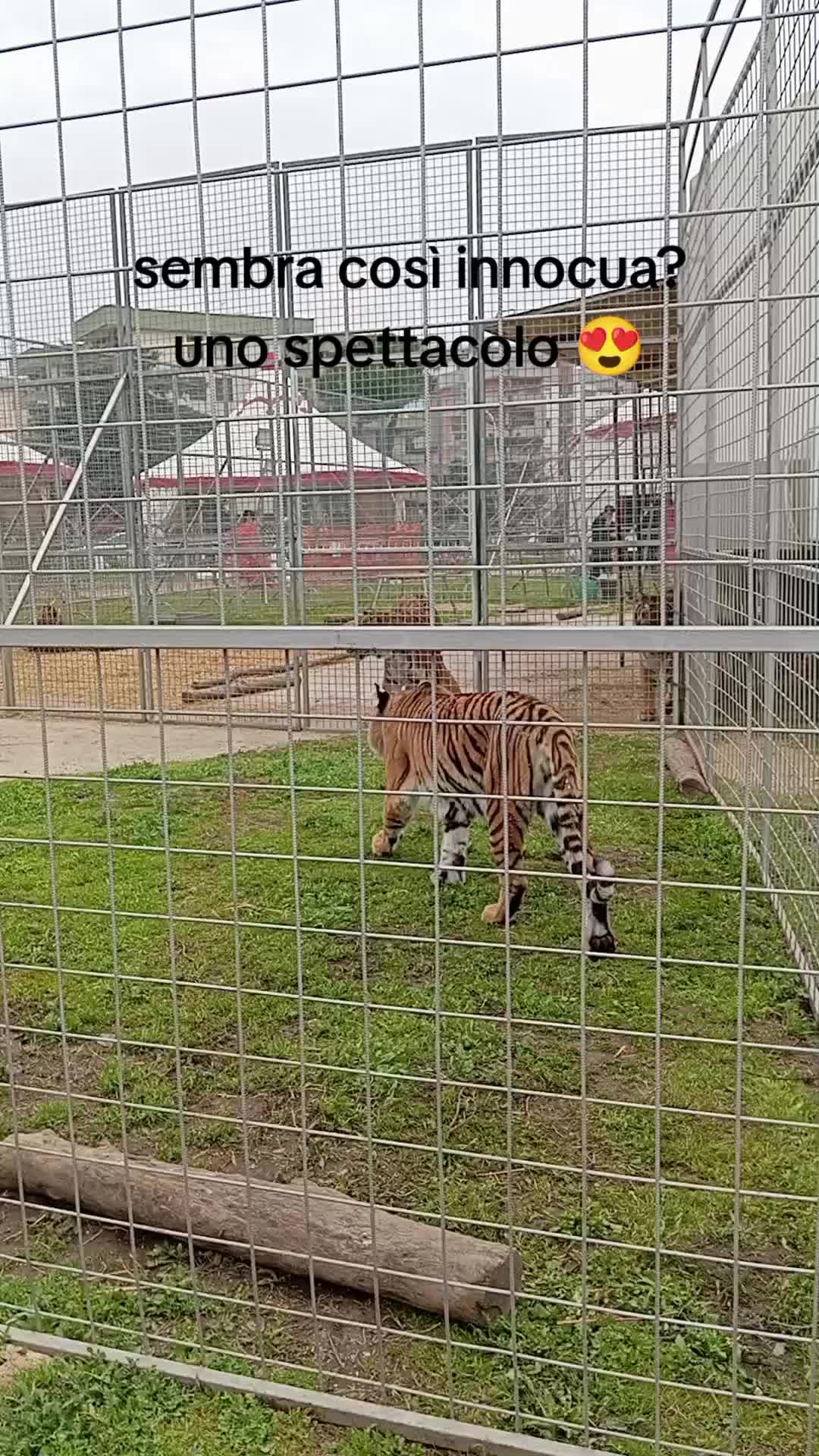 @Chiara Crolla388