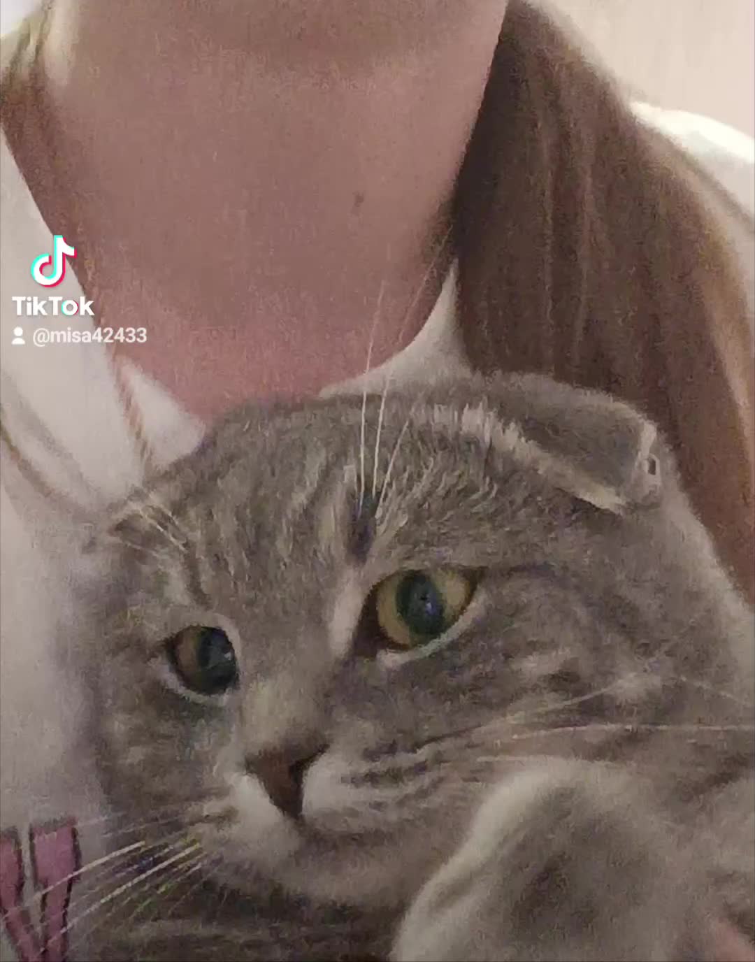@c7rxq_