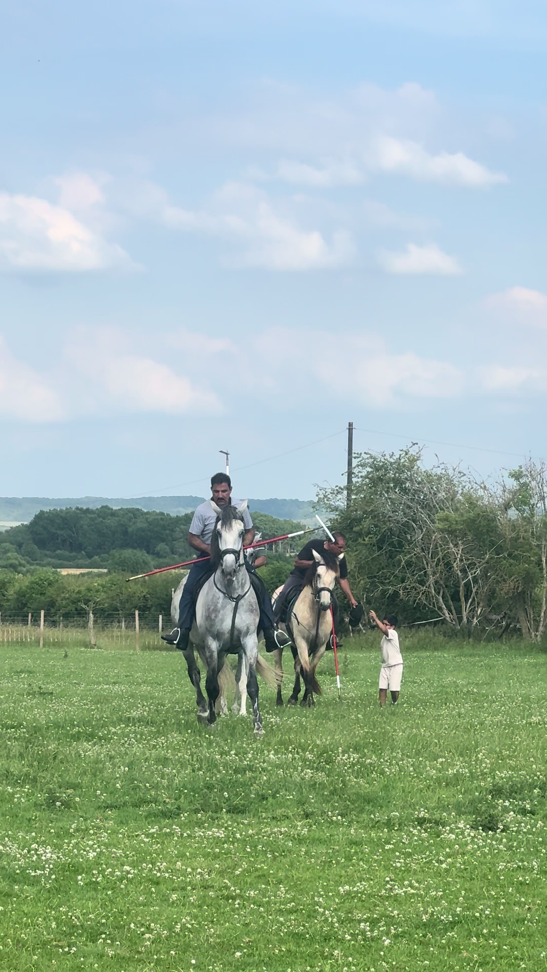 @Slough horses